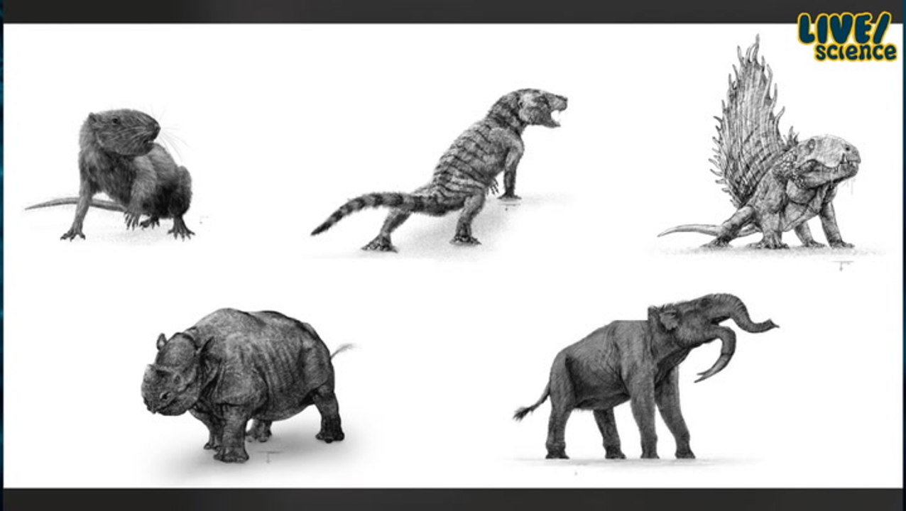 Beyond Dinosaurs: Uncovering the History of Mammals