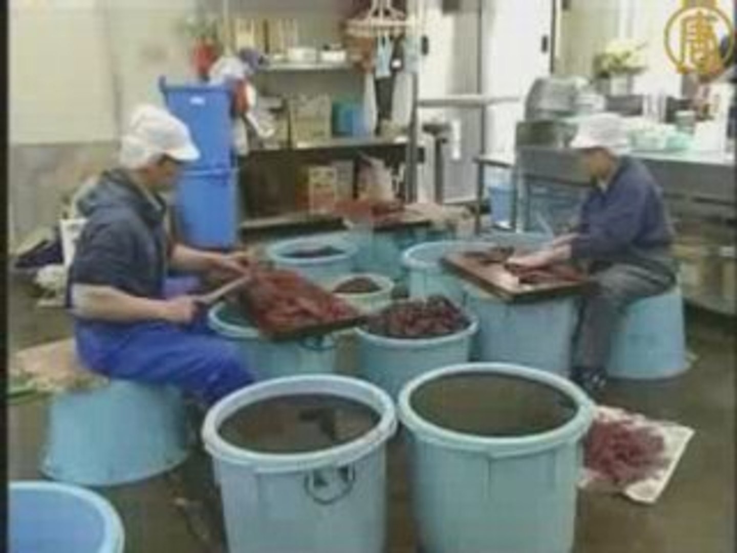 澳重申反对日本商业捕鲸