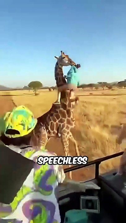 Wild Animals Caught Doing the UNEXPECTED! 🐾😂 Hilarious Animal Moments You Can't Miss!