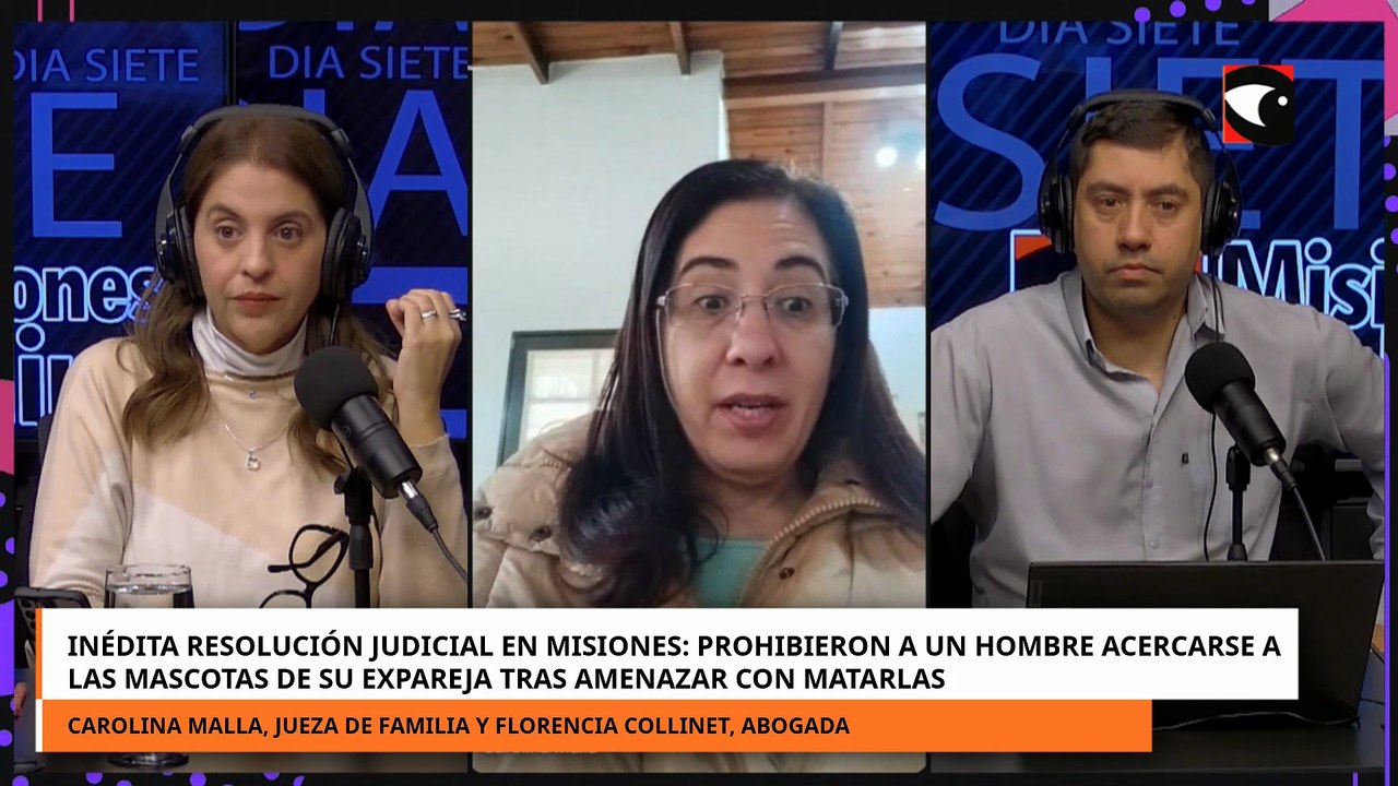 Inédita: prohíben a un hombre acercarse a las mascotas de su expareja tras amenazar con matarlas