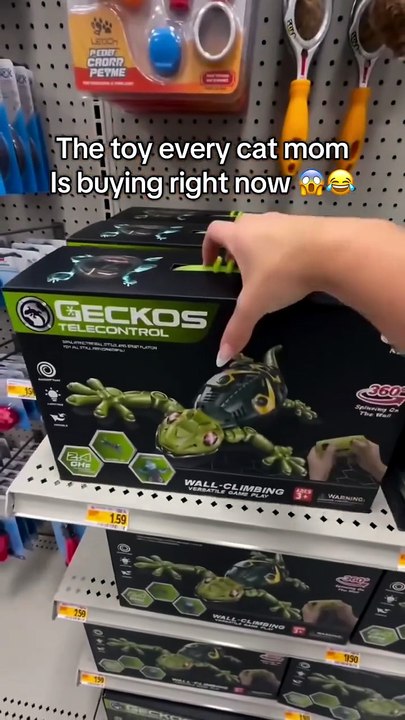 Pet’s Toy Climbing Wall Gecko Snake.