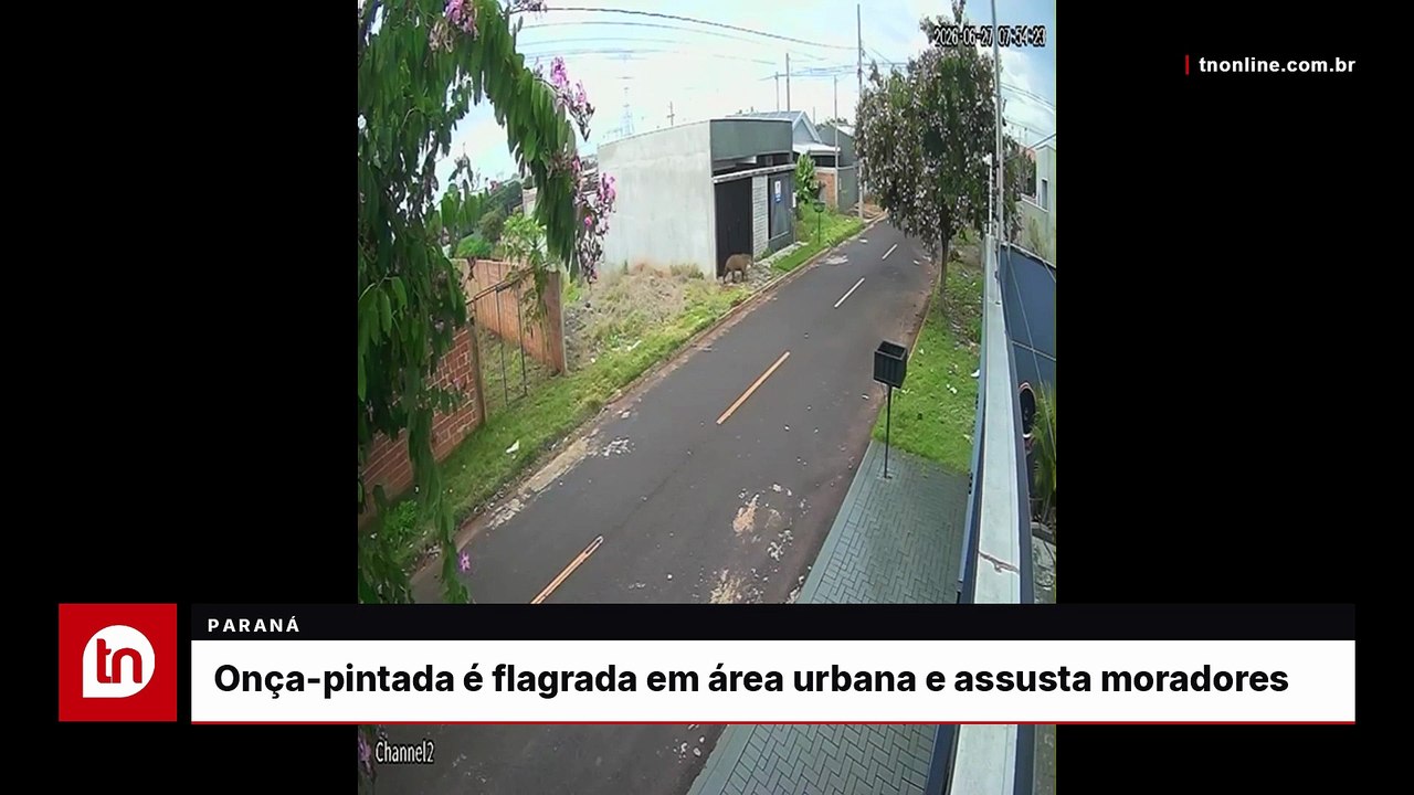 Onça-pintada é flagrada em área urbana de cidade do PR e assusta moradores