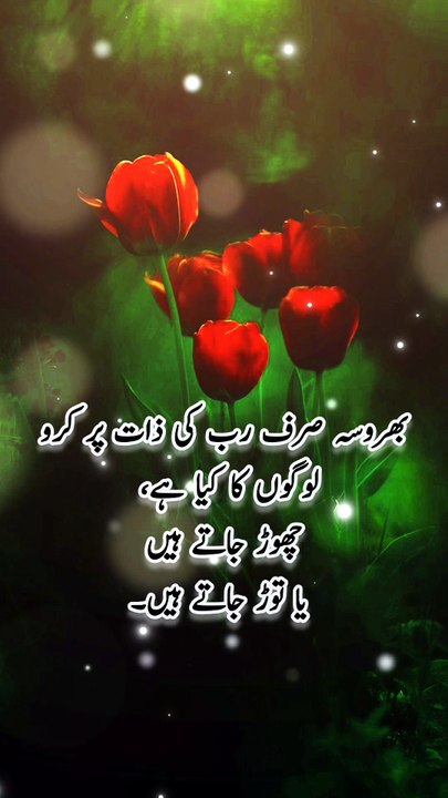 Heart Touching Urdu Quotes | Deep Words About Life & Emotions #quotes #trending #viral #shorts #reels
