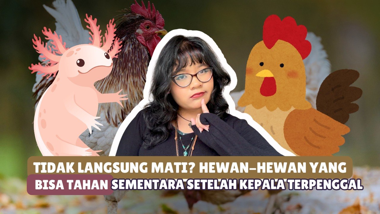 Tak Langsung Mati, 5 Hewan Ini Masih Bertahan Setelah Dipenggal-Serius Ini Hewan?