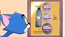 Best Wet Cat Food Billi Treats Homemade Wet Cat Food in Karachi Healthy Cat Diet Guide