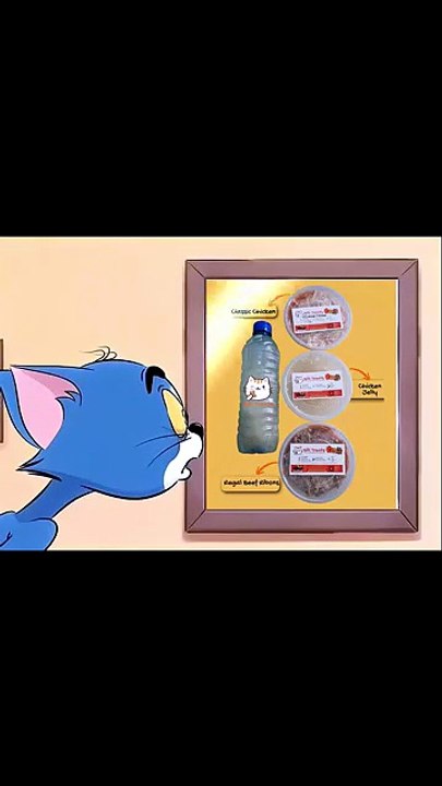 Best Wet Cat Food Billi Treats Homemade Wet Cat Food in Karachi Healthy Cat Diet Guide