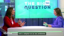 Resistência antimicrobiana: o que é e como afeta a economia