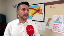 Yağmurun ardından başladı, her geçen gün artıyor: Uzmanlar 3 sebebi açıkladı