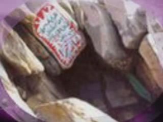 Hidayet Doğan - Muhammed'in Ravzasında