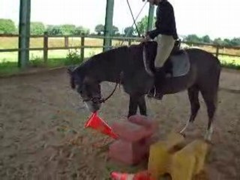 VIDEO rebel juin 2008 053