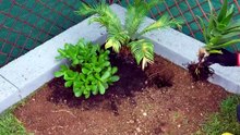 Give your garden a hand with this beautiful corner decor
