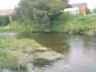 Peche rivièr.  geof et rom