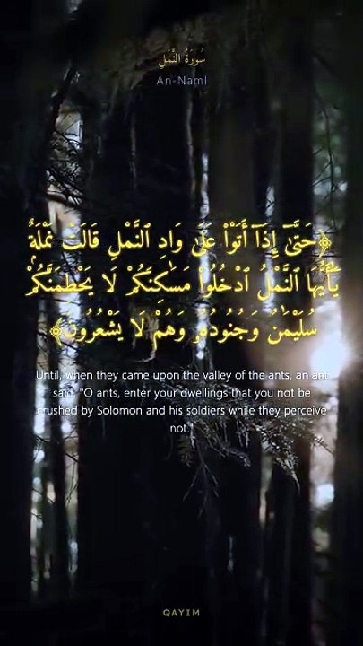 سورة النمل | آيات 18-19 | Surah An-Naml 27:18-19 | تلاوة خاشعة تريح القلب