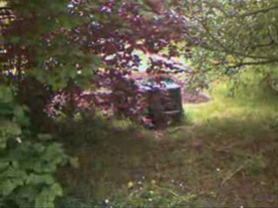 Bataille Air soft