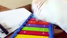 Who Knew They Had These Skills?!
