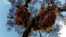 Kalahari El desierto subterráneo de Africa 🐪