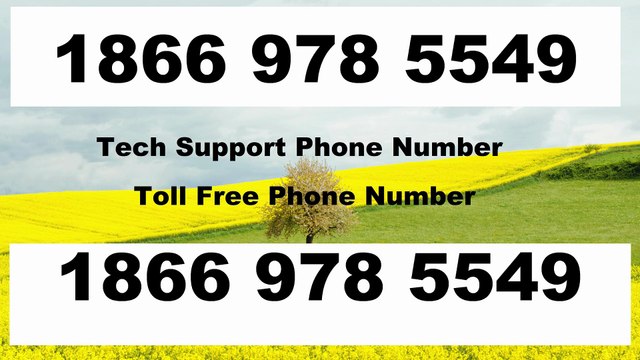 ~!@CAlL@!~ 【Paramount plus® {Help Desk SuppoRt}™ — Paramount plus Toll Free Numbers & Support Options