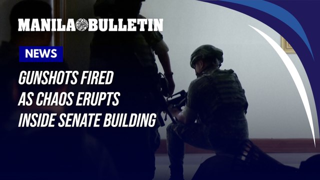 Gunshots fired as chaos erupts inside Senate building