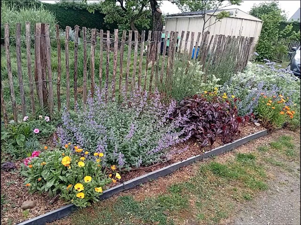 Fleurs