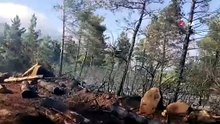 Hatay’da ormanı yangını çıktı