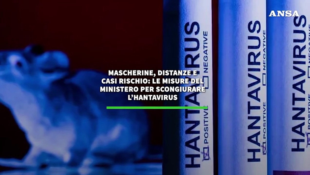 Mascherine, distanze e casi rischio: le misure del  ministero per scongiurare l'hantavirus