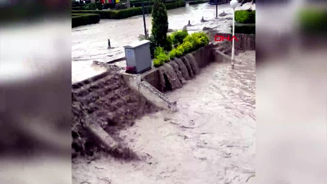 Sel sularına kapılan kediyi boğulmaktan kurtardı