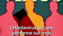 Pourquoi l'Hantavirus n'a AUCUN traitement ? 🦠