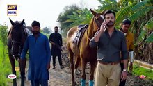Mirza Ki Heer episode 7