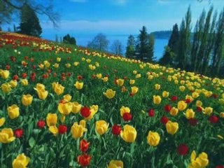 Картини от България