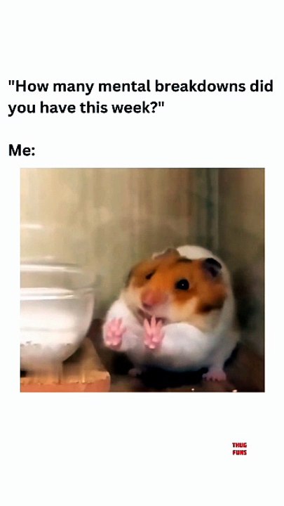 Hamster Meme Shorts Gone WILD! 😂🔥 Instant Laughs