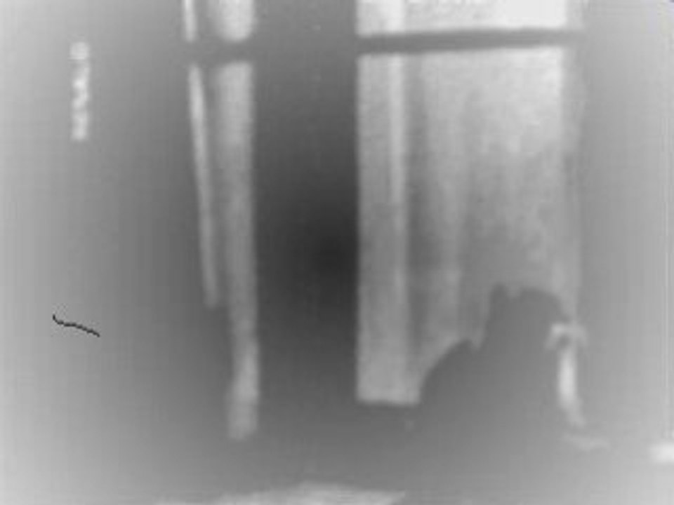 Renaud/Brassens : je suis un voyou