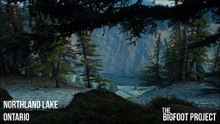 SASQUATCH & MOOSE   2 INTENSE  ENCOUNTERS FROM ONTARIO