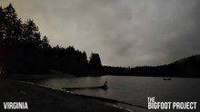 BIGFOOT'S FACE A FOOT AWAY!