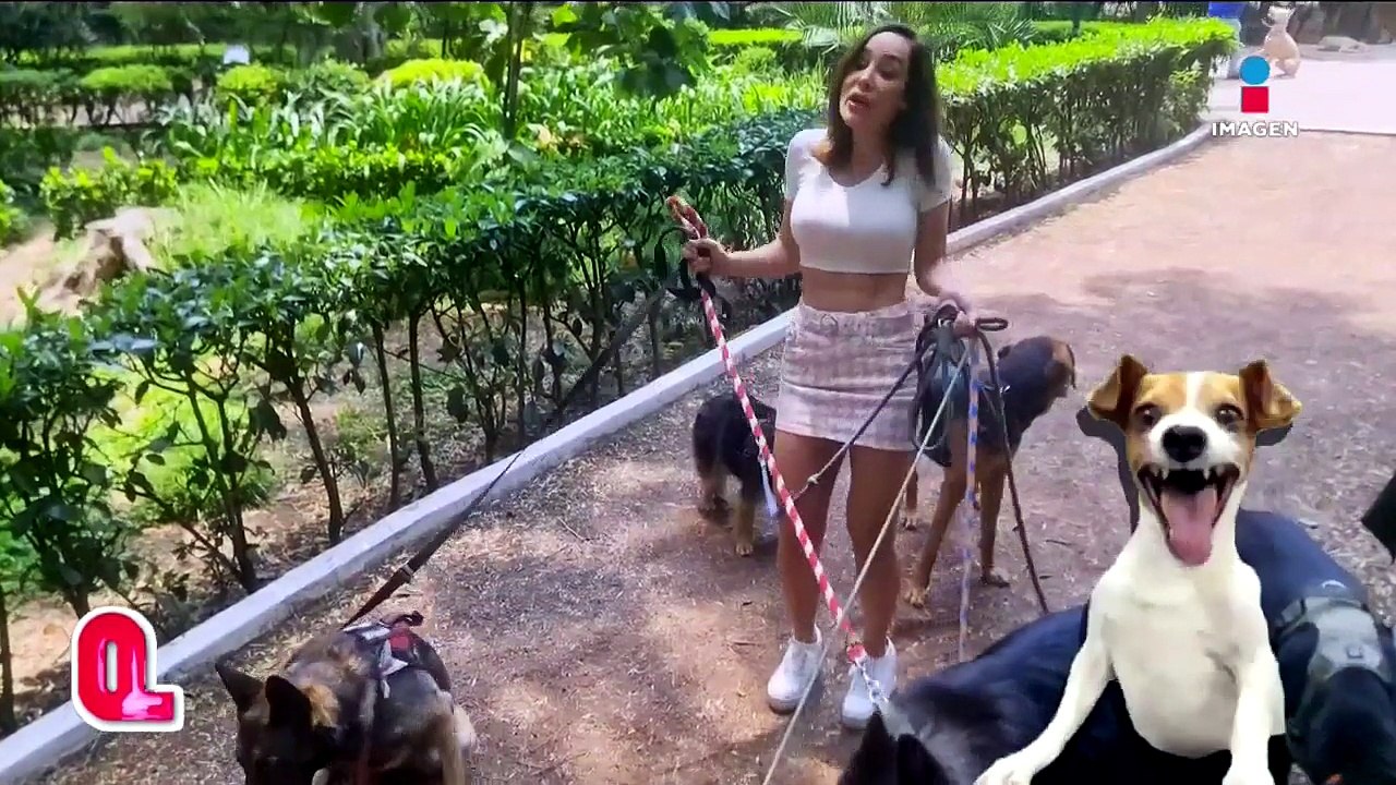 Paseando perritos con Raquel Solves | Qué Importa