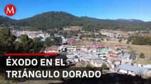 ¿Por qué las familias están huyendo de Tamazula en Durango?