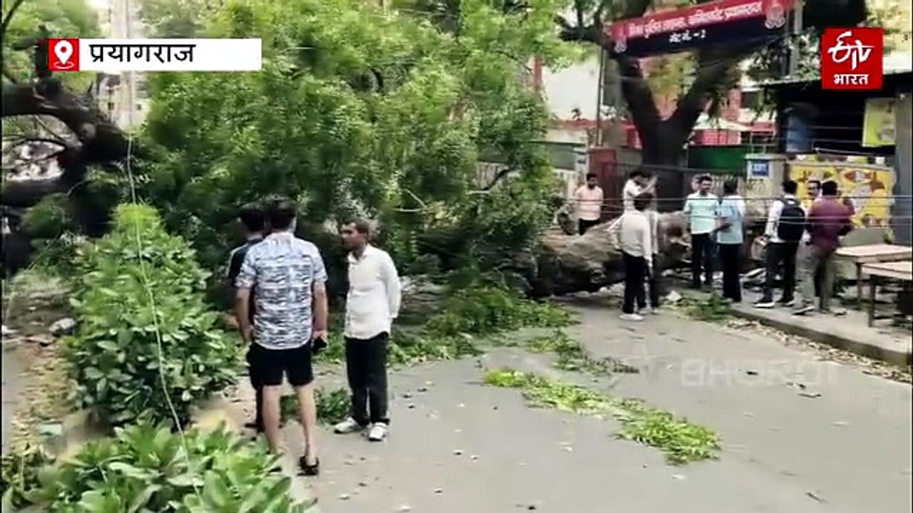 प्रयागराज में आधी-तूफान का कहर, 21 मौतें; खराब मौसम में बाहर जाने से बचने की अपील