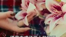 Wolf Princess - Short Drama
