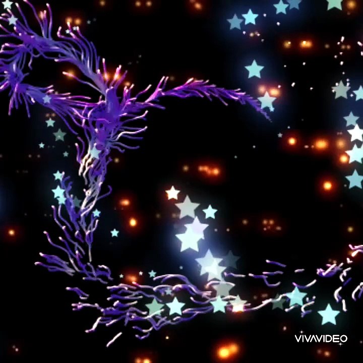 Creative Effects