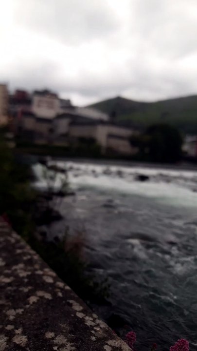 Lourdes Beautés du Gave