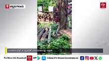 ಚಿಕ್ಕಮಗಳೂರು: ಎರಡು ಬೃಹತ್ ನಾಗರಹಾವು ಸೆರೆ; ಉರಗತಜ್ಞ ಮೊಹಮ್ಮದ್ ಹನೀಫ್ ಸಾಹಸಕ್ಕೆ ಗ್ರಾಮಸ್ಥರ ಮೆಚ್ಚುಗೆ