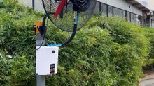 Mingletec 26 30 inch BLDC industrial wall mounted mist fan #mingletec #BLDC #industrialfan #wallmounted #mistfan #factory #outdoor #manufacturer #fyp