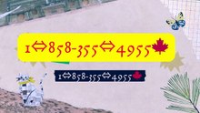 Complete™ List of coinbaseⓃ CUSTOMER© WALLET© Care℗ (Toll Free Number Support) Numbers A Complete GuideCopAn