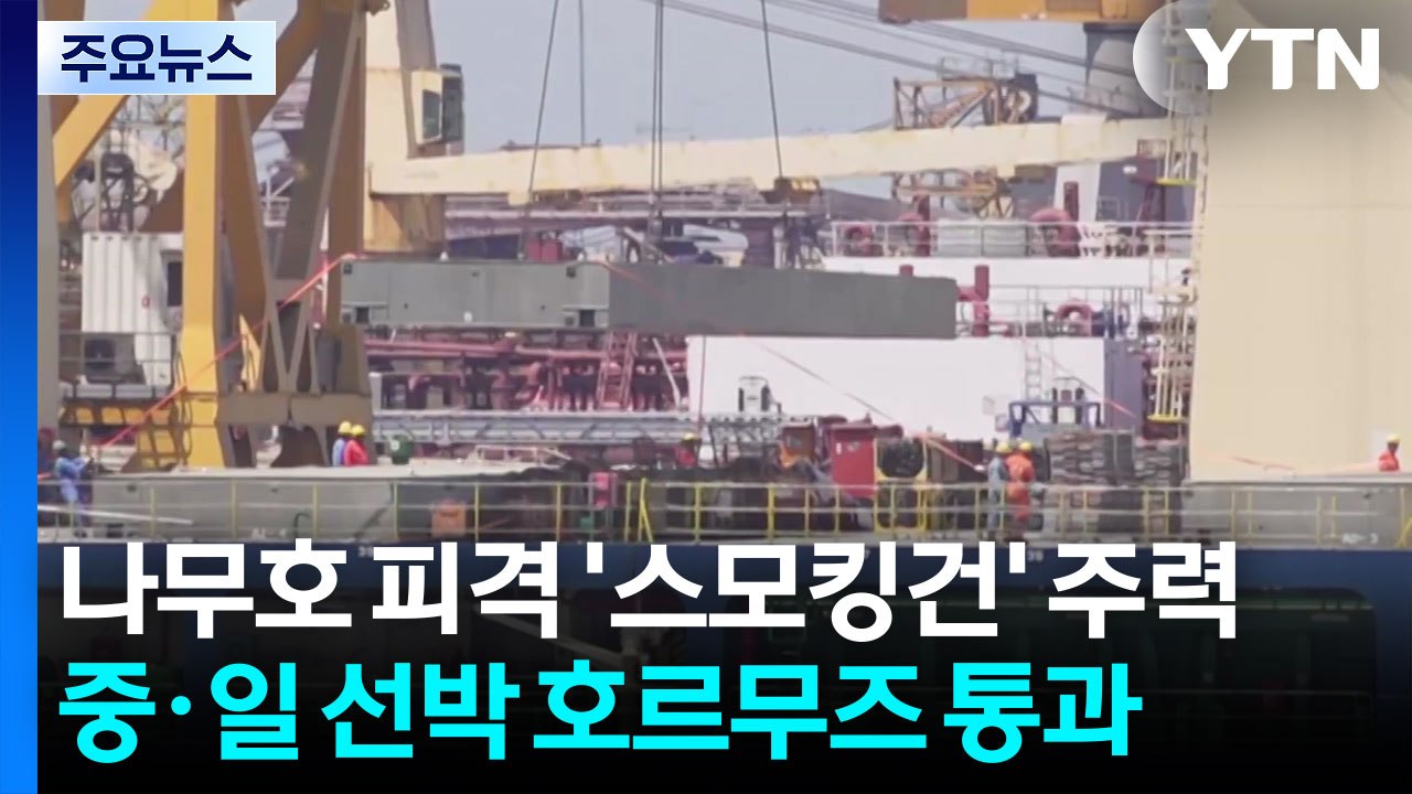 나무호 피격 '스모킹건' 주력...중·일 선박 호르무즈 통과 / YTN