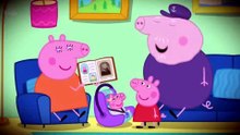 Everything About The PIG FAMILY TREE (Peppa Pig)
