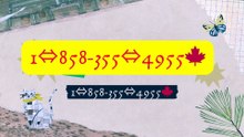 C^omplete List ]] of [O.f>f.ic.i.a.l] Coinbase®® HELP DESK™ USA Contact Numbers: A Full Guide INFOCopAn