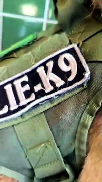 BPFRON prende mulher e apreende mais de 6 quilos de haxixe em carro de aplicativo em Guaíra