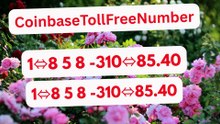 {{GOOD}}™ {[OFFER]} ⁂Coinbase® Toll free© helpline® Numbers Contact⁂ (24/7) Live Person Care)
