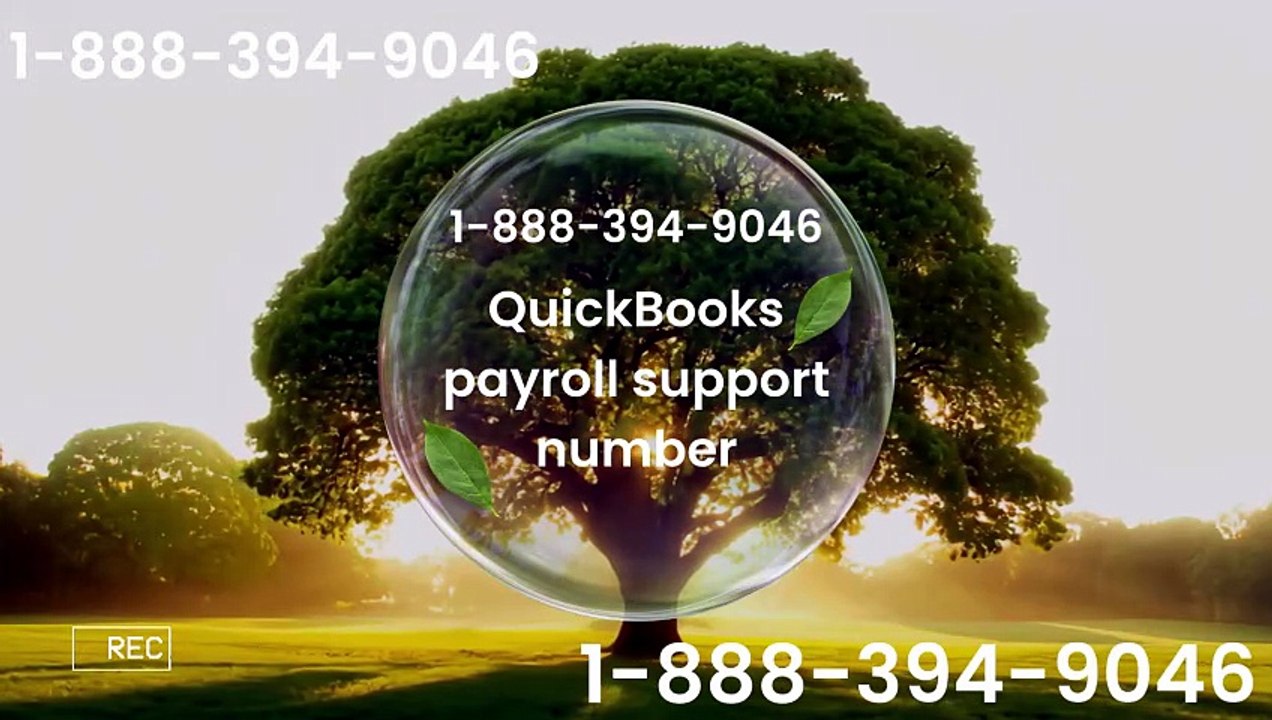 QuickBooks payroll support number