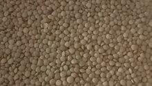 ​Qui aime les lentilles de cette façon ?