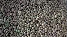 ​Qui aime les lentilles de cette façon ?